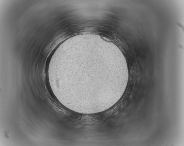 X0000095890290200802081124