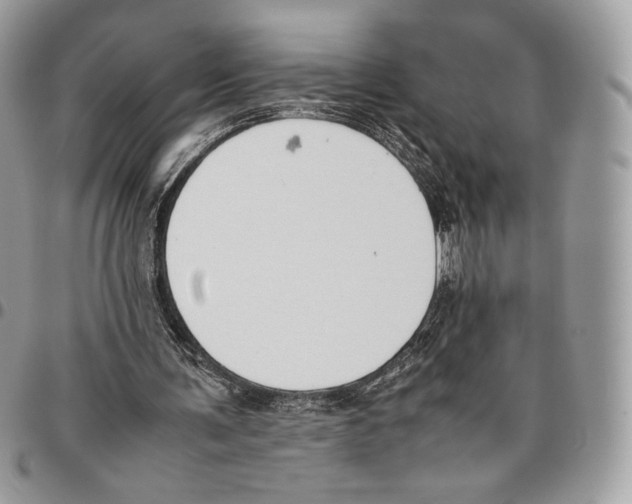 X0000095890291200802081123