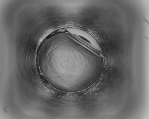 X0000095890292200802081123