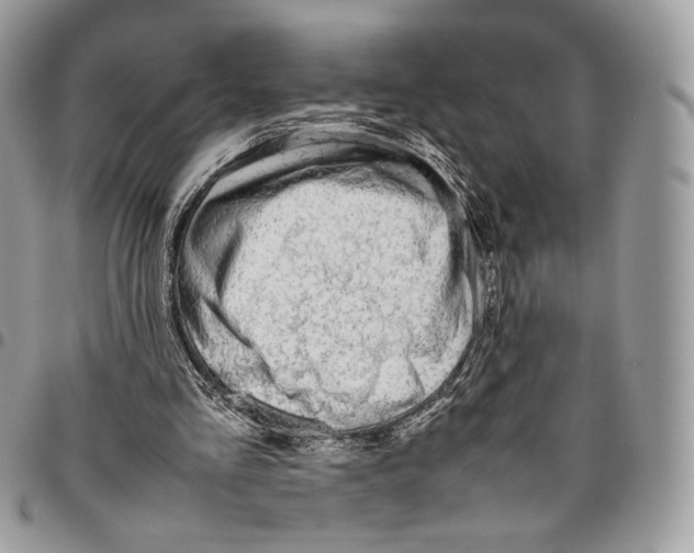 X0000095890293200802081123