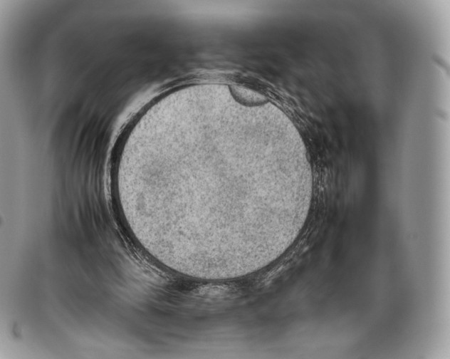 X0000095890294200802081123