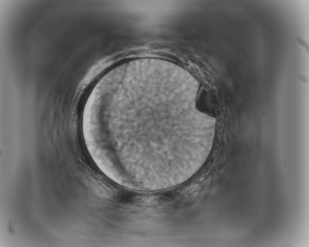 X0000095890295200802081123