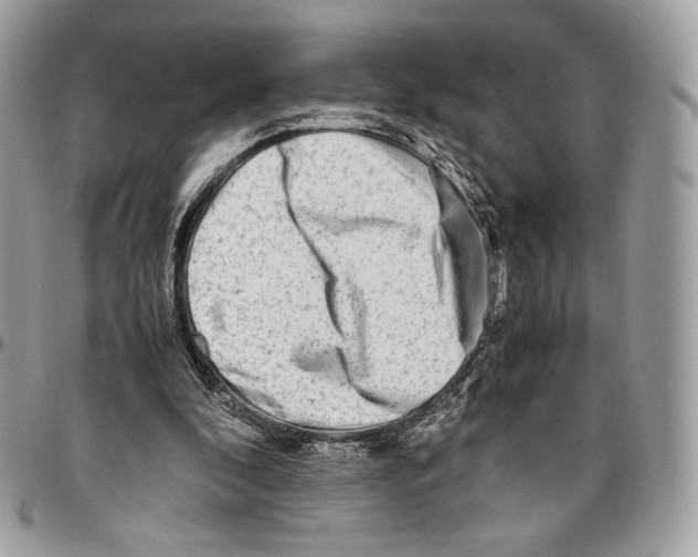 X0000095890296200802081123