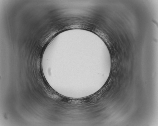 X0000095890297200802081123