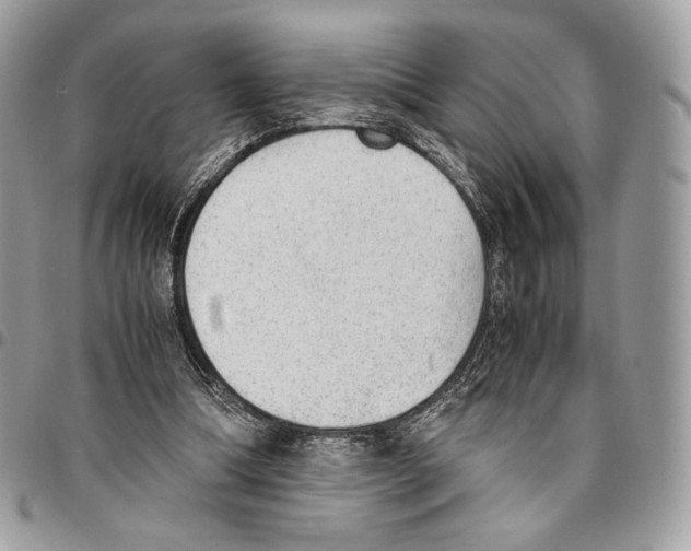 X0000095890298200802081123