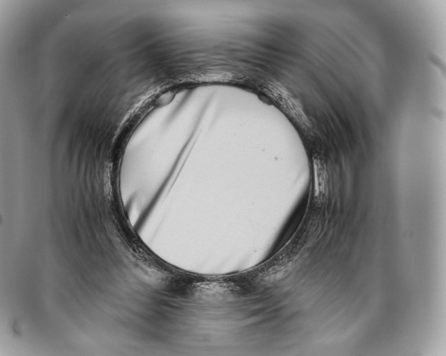 X0000095890300200802081123