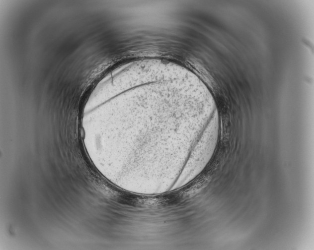 X0000095890301200802081123