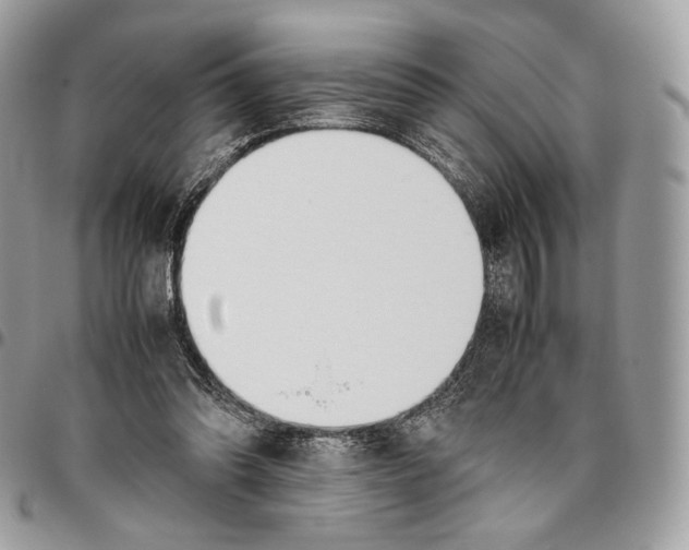 X0000095890302200802081123