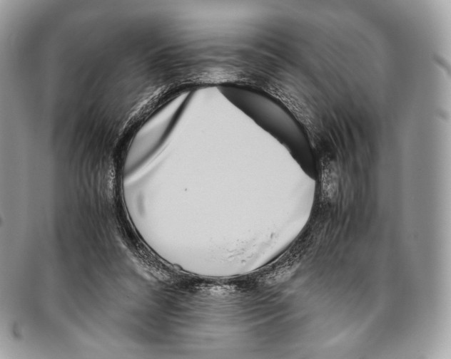 X0000095890304200802081123