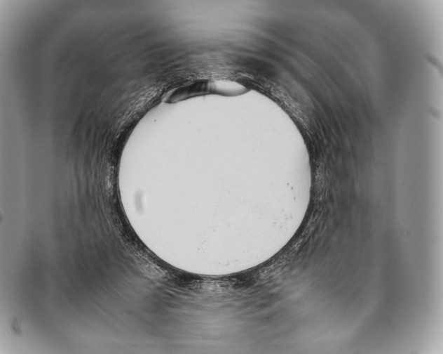 X0000095890305200802081123
