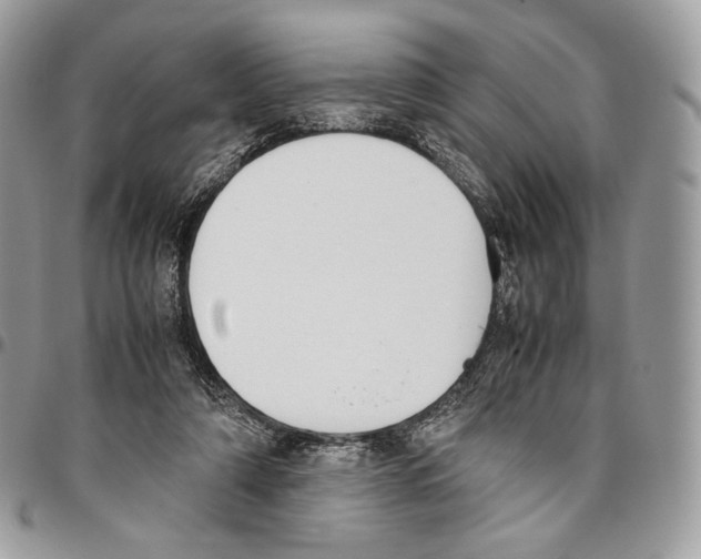 X0000095890306200802081123