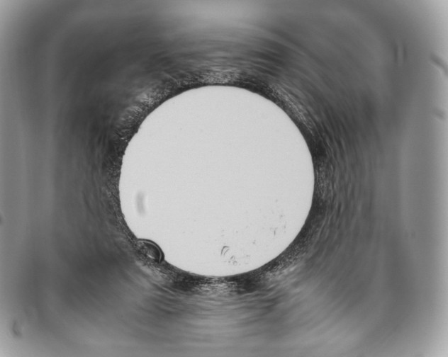 X0000095890307200802081123