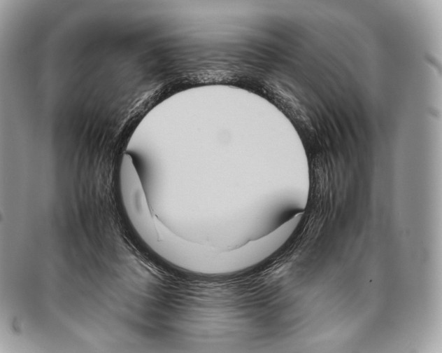 X0000095890308200802081123
