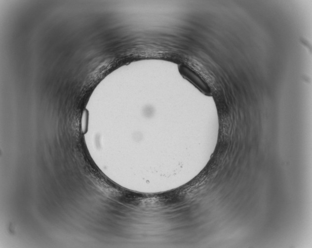 X0000095890309200802081123