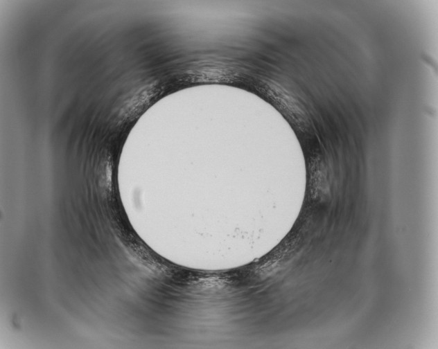 X0000095890310200802081123