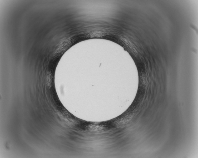 X0000095890311200802081123