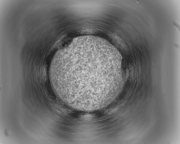 X0000095890312200802081123
