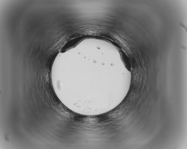 X0000095890313200802081123