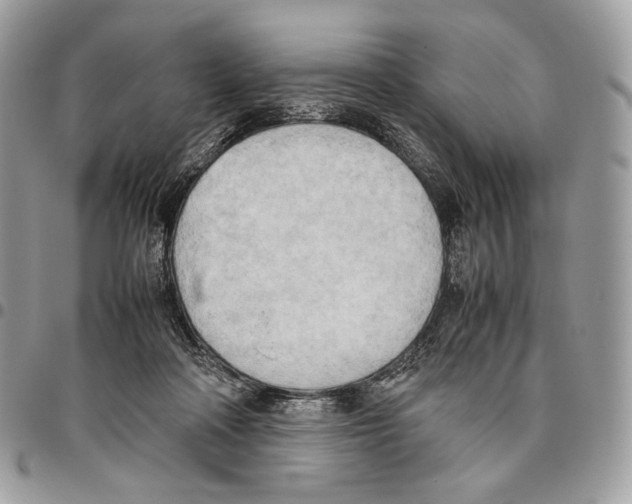 X0000095890314200802081123