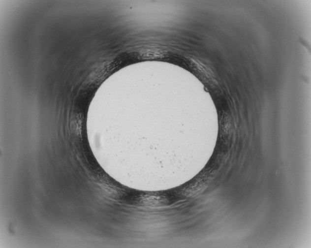 X0000095890315200802081123