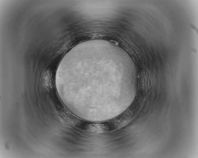 X0000095890316200802081123