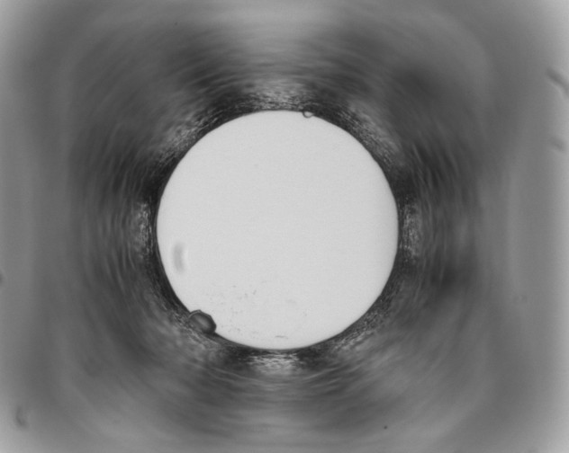 X0000095890318200802081123