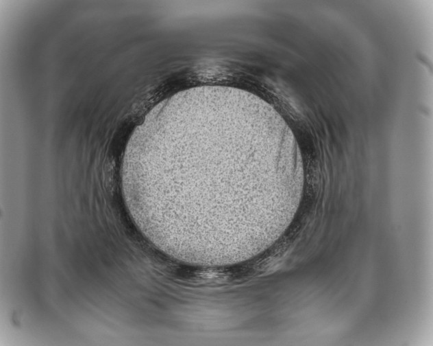 X0000095890319200802081123