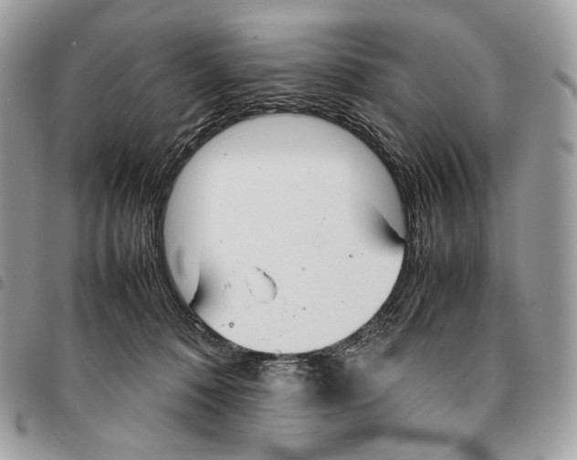 X0000095890320200802081123