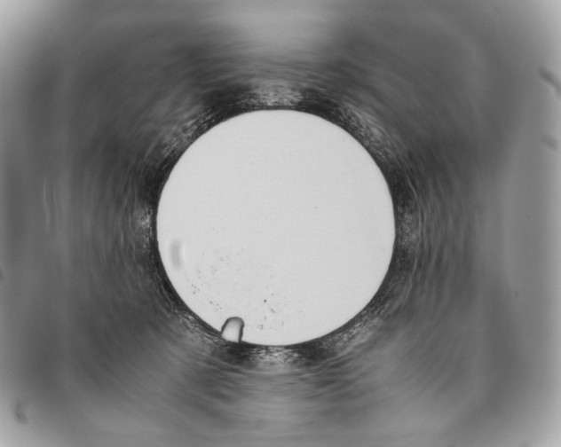 X0000095890321200802081123