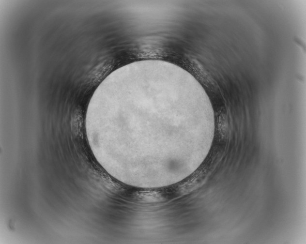 X0000095890322200802081123