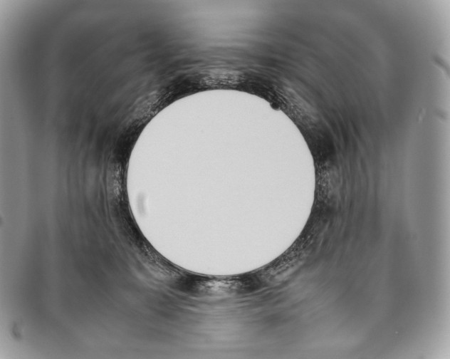 X0000095890323200802081123