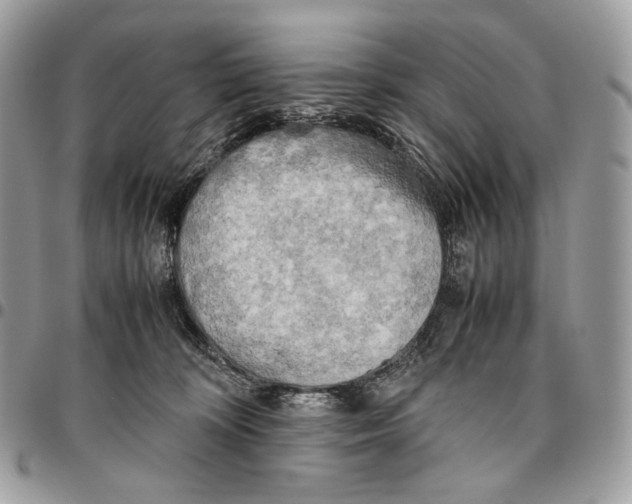 X0000095890324200802081123