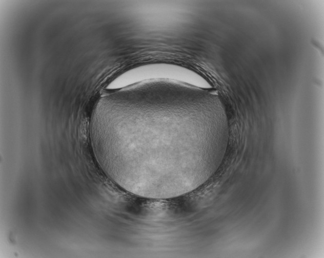 X0000095890325200802081123
