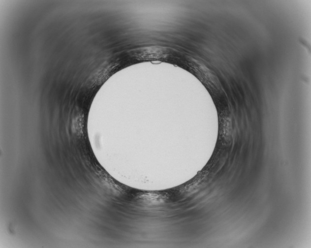 X0000095890326200802081123