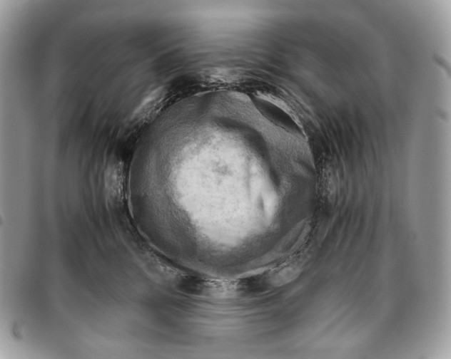 X0000095890328200802081123