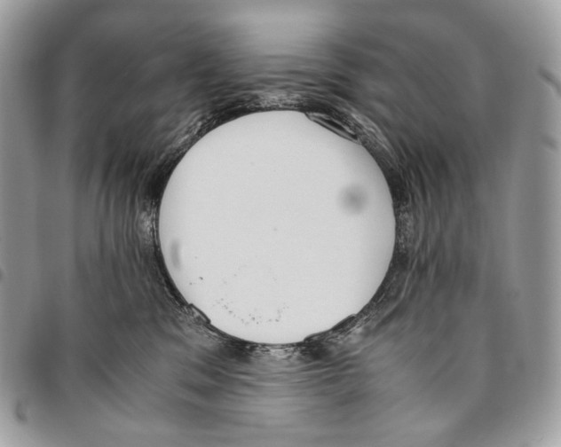X0000095890329200802081123