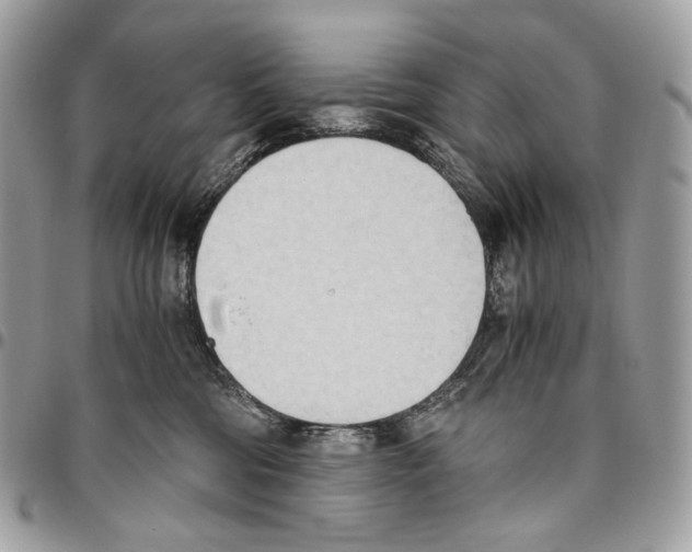 X0000095890330200802081123