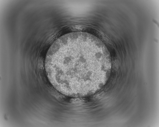 X0000095890331200802081123