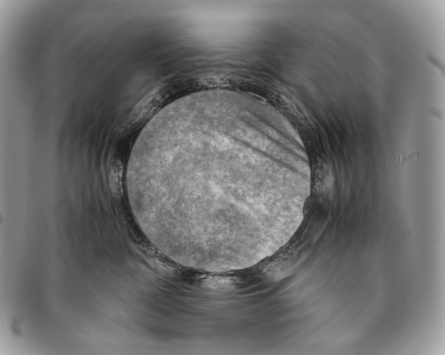 X0000095890332200802081123