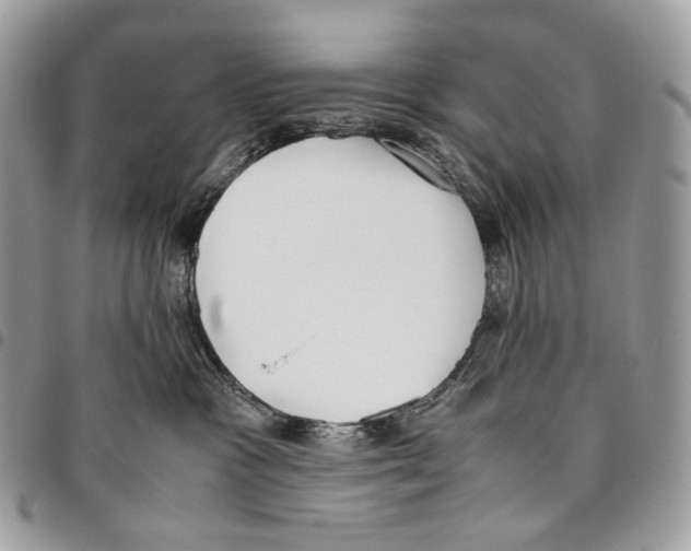X0000095890333200802081123