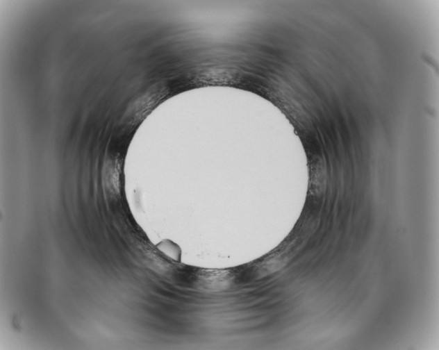 X0000095890334200802081123