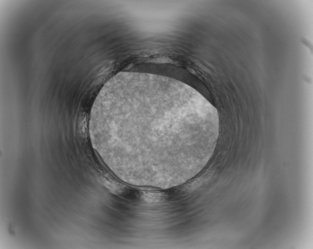 X0000095890336200802081123