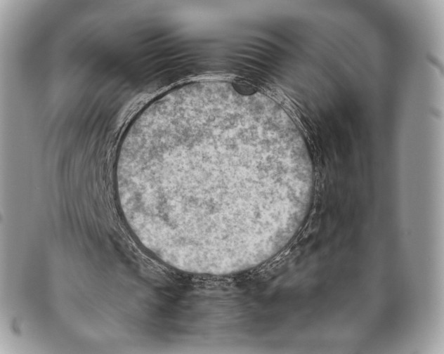 X0000095890337200802081122