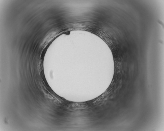 X0000095890338200802081122