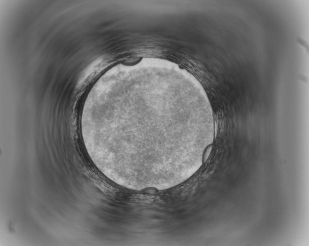 X0000095890339200802081122