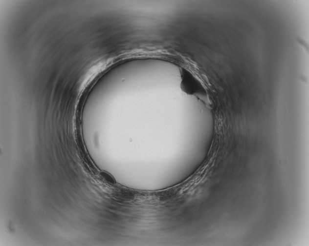 X0000095890340200802081122