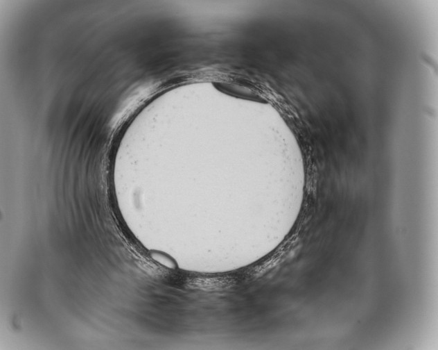 X0000095890341200802081122