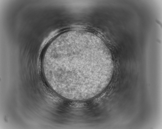 X0000095890343200802081122