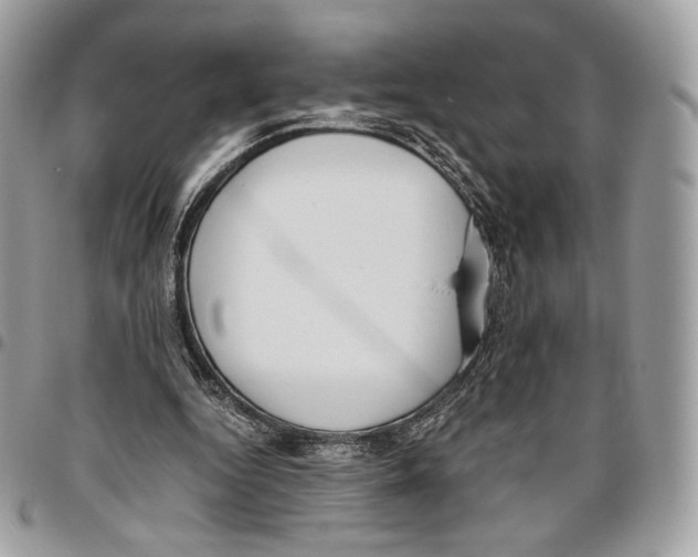 X0000095890344200802081122