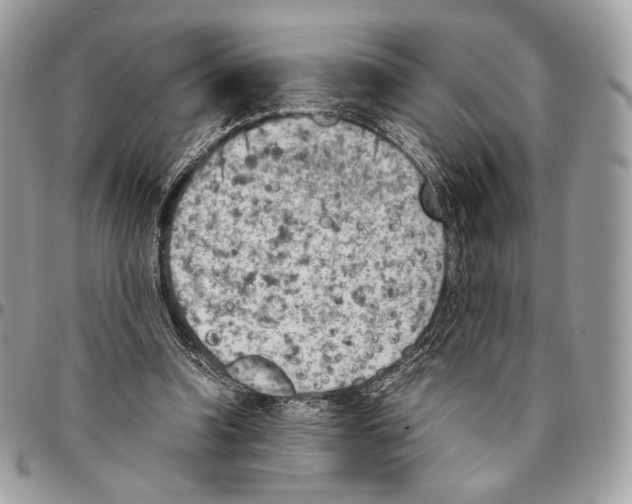 X0000095890346200802081122